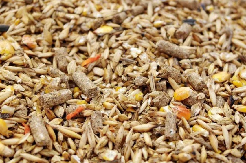 Кормова суміш для тварин Кормова суміш для тварин