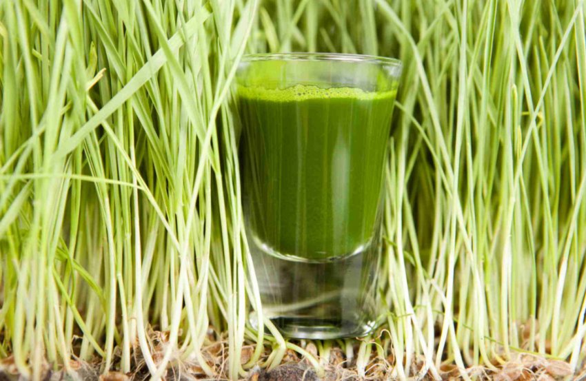 Пшеничний сік