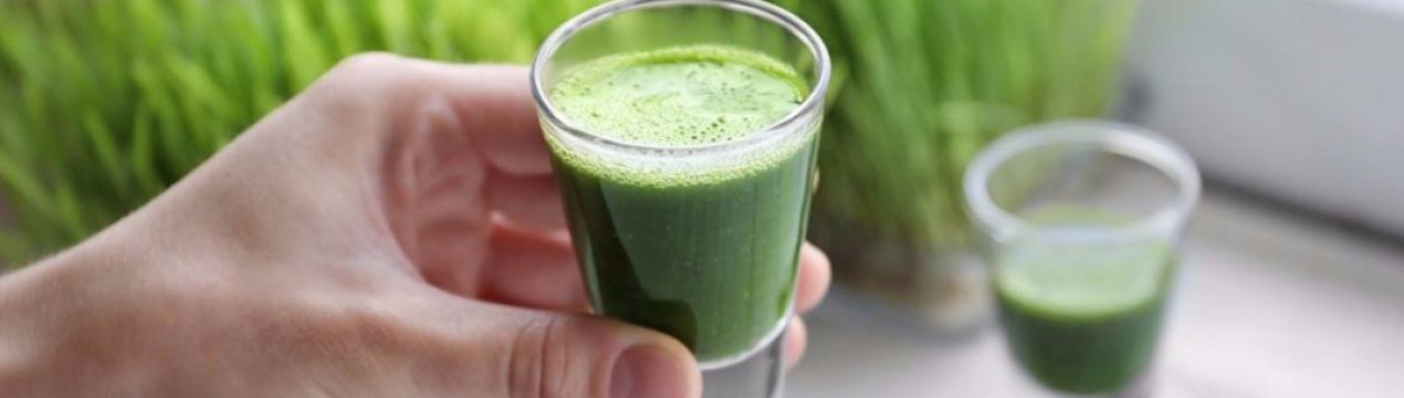 В Житомирській області почали виготовляти пшеничний сік