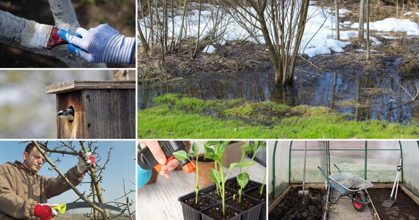 Огородні роботи в березні