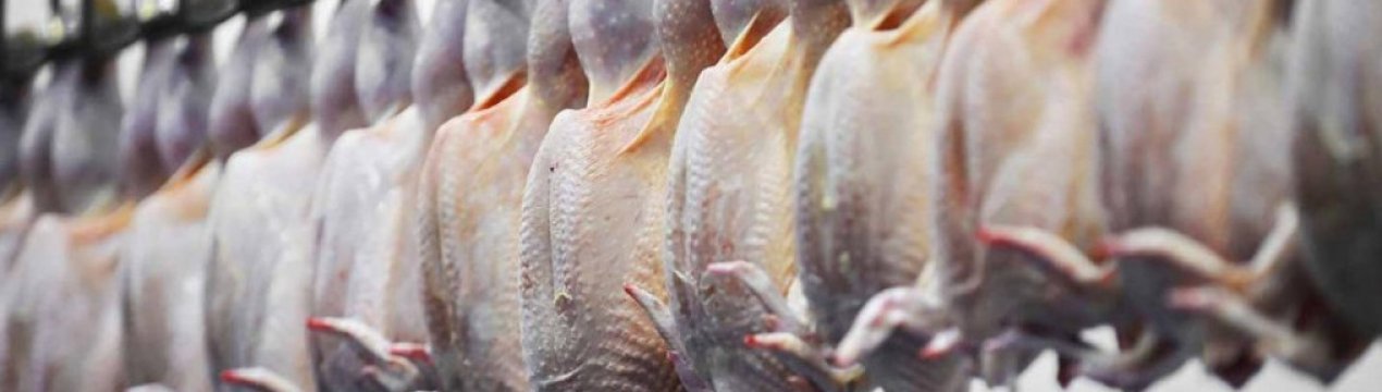 Курятина українського виробництва знову з'явиться в ЄС