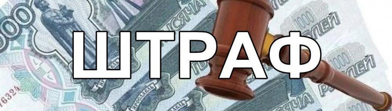 Обережно, штраф! 6 речей, які заборонено робити на своїй дачній ділянці