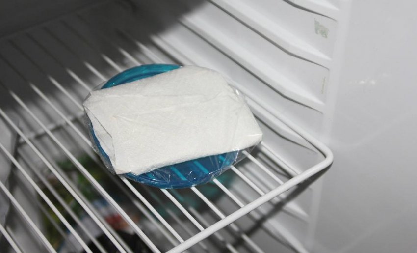 Закалювання насіння помідорів Закалювання насіння помідорів