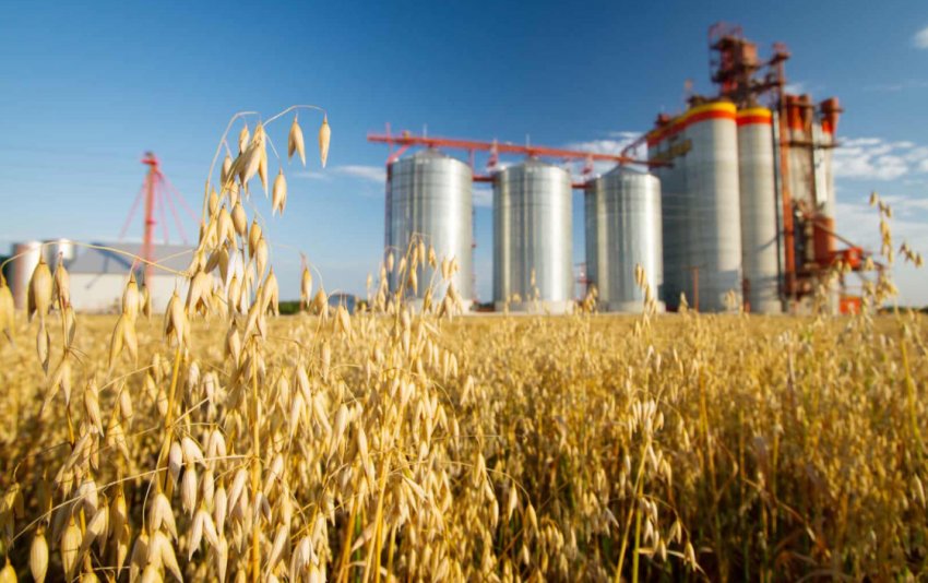 Аграрна галузь Україна