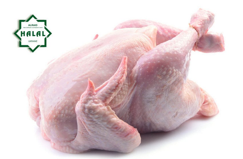 Курятина Халяль Курятина Халяль