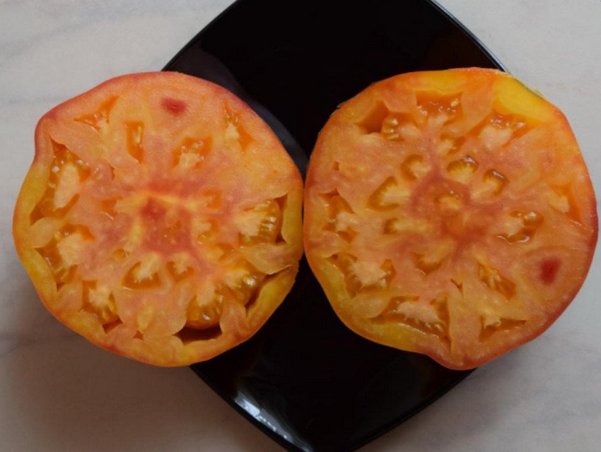 Grandma Viney’s Yellow and Pink