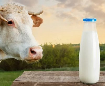 Виробництво українського молока опинилося під загрозою