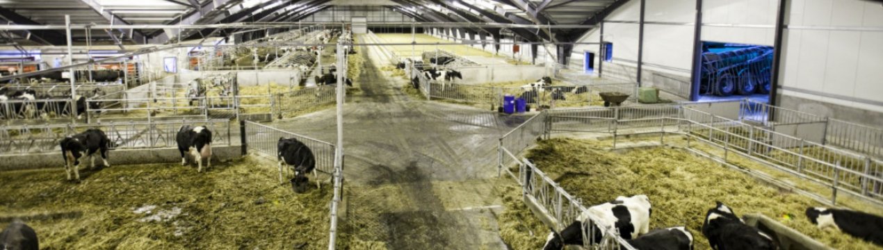 В Україні можна буде відвідати демонстраційні ферми