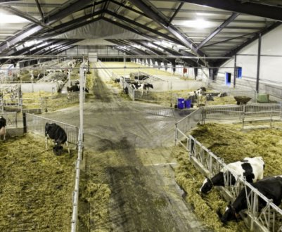 В Україні можна буде відвідати демонстраційні ферми