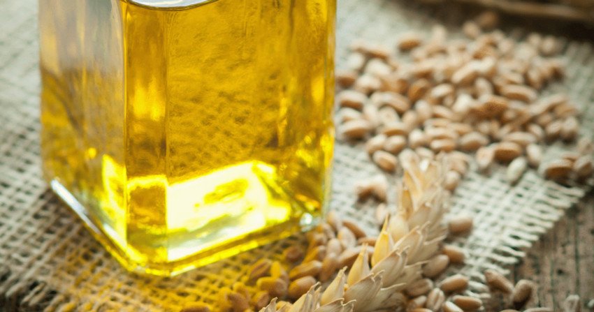 Пшениця і соняшникова олія