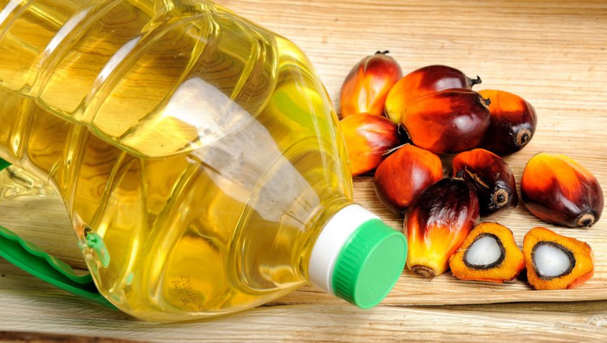 Пальмове та соєве масло Пальмове та соєве масло