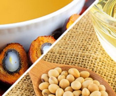 Ціни на пальмове і соєве масло почали стрімко знижуватися