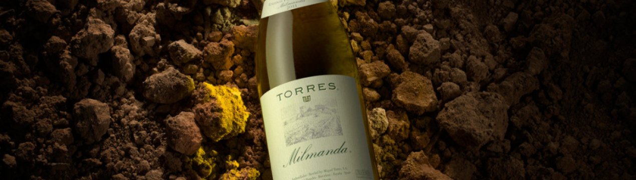 Іспанський вінний бренд очолив світовий список вин