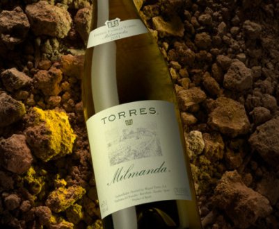 Іспанський вінний бренд очолив світовий список вин