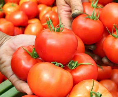 В європейських країнах зросло попит на помідори