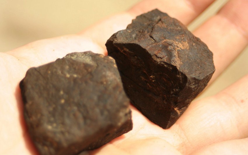 Органічне добриво з коричневого вугілля Органічне добриво з коричневого вугілля