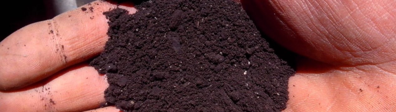 ```html
<p>Арабская компания инвестирует 1,5 млн. долларов в производство украинских органических удобрений</p>
```