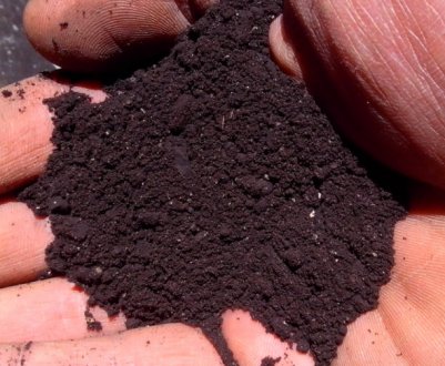 ```html
<p>Арабская компания инвестирует 1,5 млн. долларов в производство украинских органических удобрений</p>
```