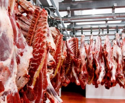З'явився перелік основних імпортерів української яловичини в першому кварталі 2021 року