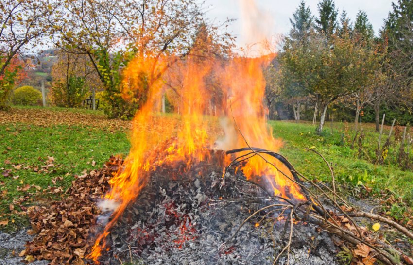 Викидання рослинних залишків у вогонь