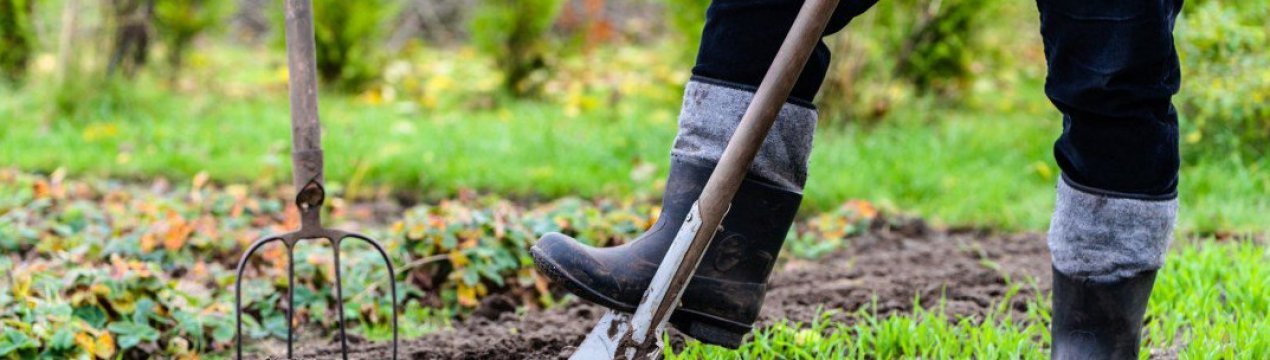 Краще відпочиньте! 5 справ у саду і городі, які ви робите марно