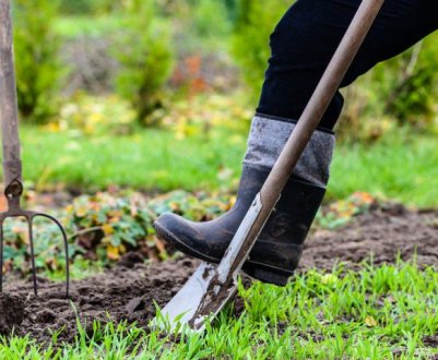 Краще відпочиньте! 5 справ у саду і городі, які ви робите марно