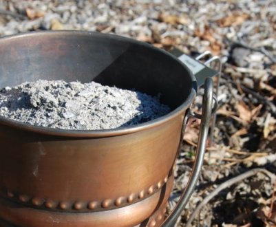 Какі 5 культур потребують деревної золи як добрива?