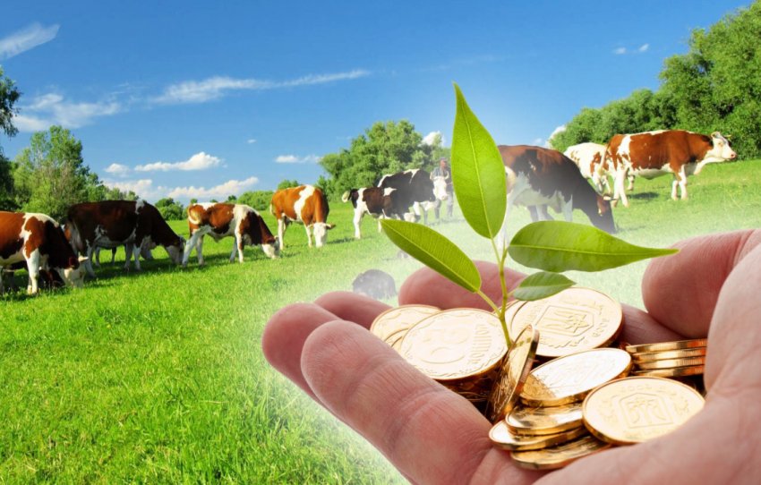 Державна підтримка фермерських господарств