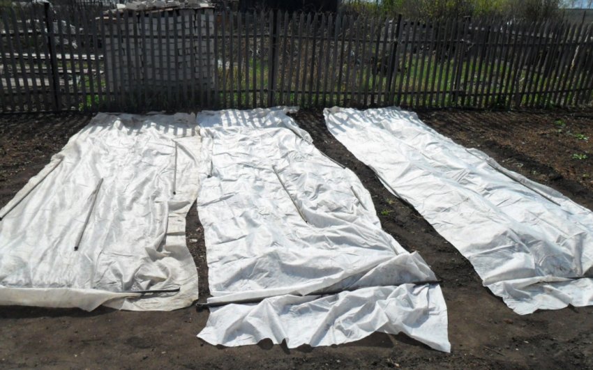 Покриття ґрунту плівкою