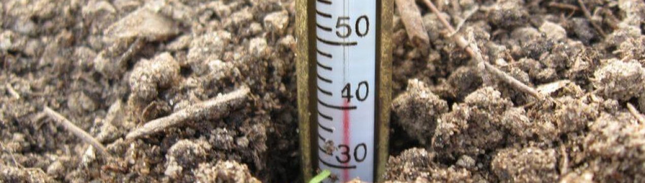 Перед посівом не забудьте розбудити ґрунт! Ділюся 3-ма способами