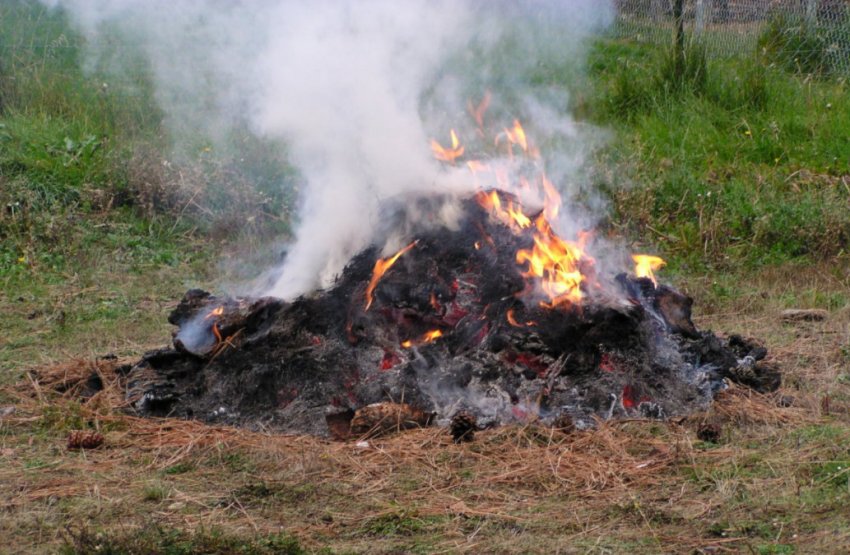 Спалювання рослинних залишків Спалювання рослинних залишків
