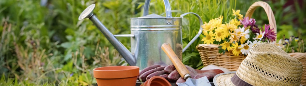 5 некорисних садових порад, що дав сусід. Результату немає, лише збитки