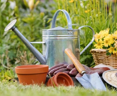 5 некорисних садових порад, що дав сусід. Результату немає, лише збитки