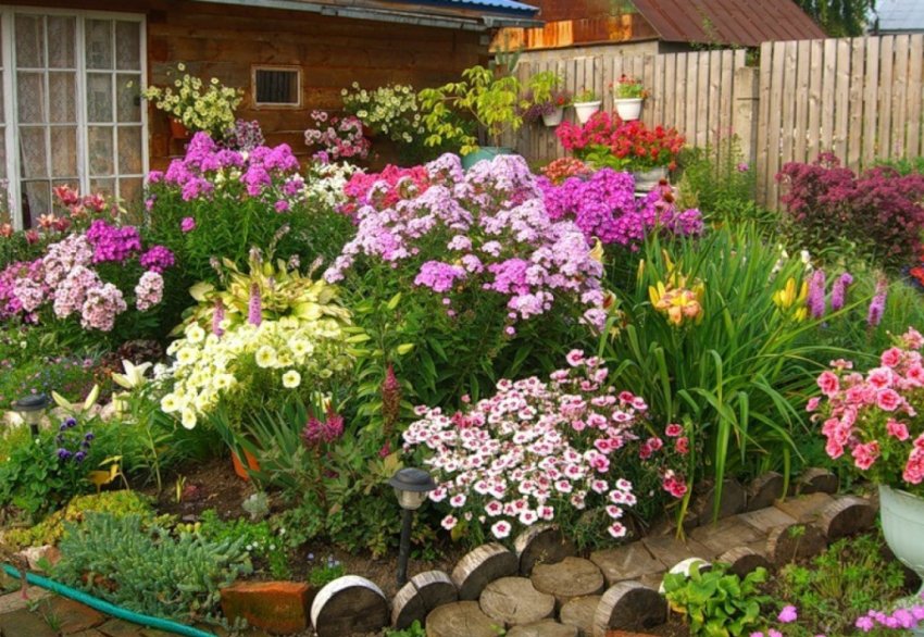 Багаторічний клумб Багаторічний клумб