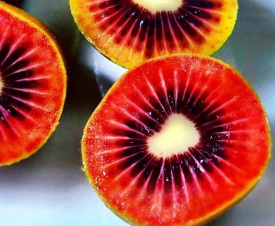 Учені вивели ще один сорт червоного ківі