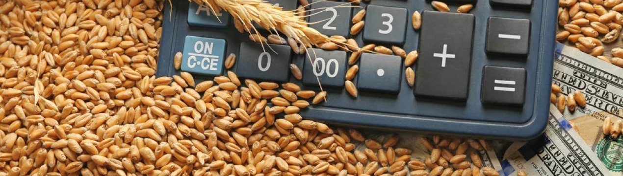 Україна вже відправила на експорт понад 39 млн. тонн зерна