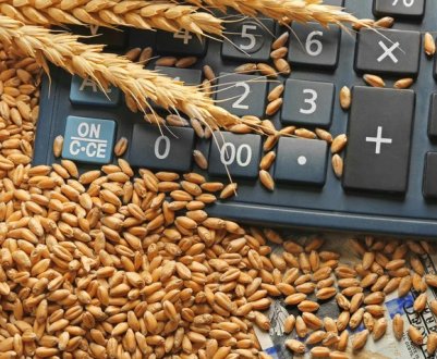 Україна вже відправила на експорт понад 39 млн. тонн зерна