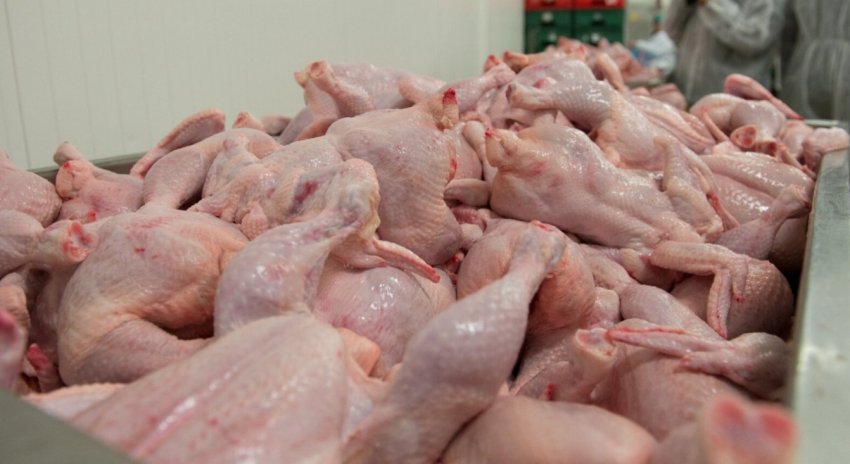 Експорт м'яса птиці Експорт м'яса птиці