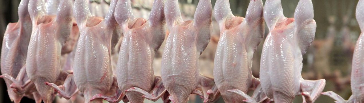 Експорт м'яса птахів в Україні побиває нові рекорди