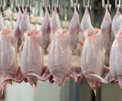Експорт м'яса птахів в Україні побиває нові рекорди
