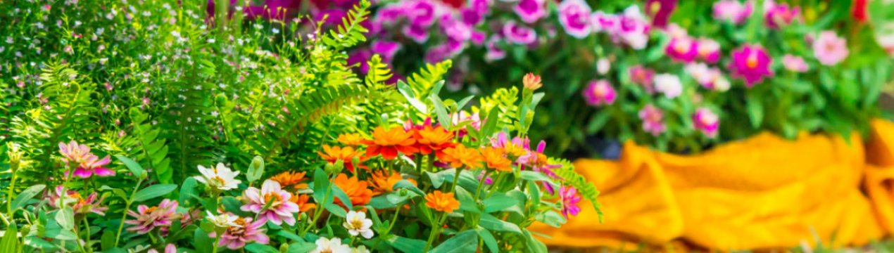 10 дивовижно красивих рослин, які варто посадити в саду