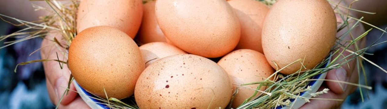 Українські яйця втрачають в ціні