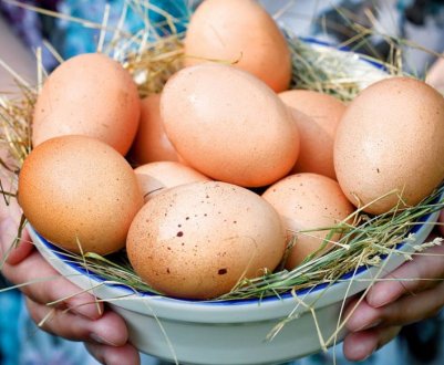 Українські яйця втрачають в ціні