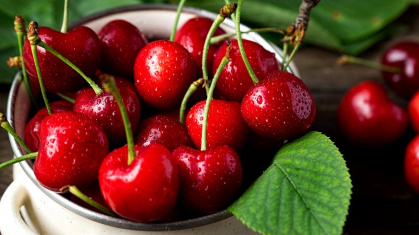 Черешня Черешня