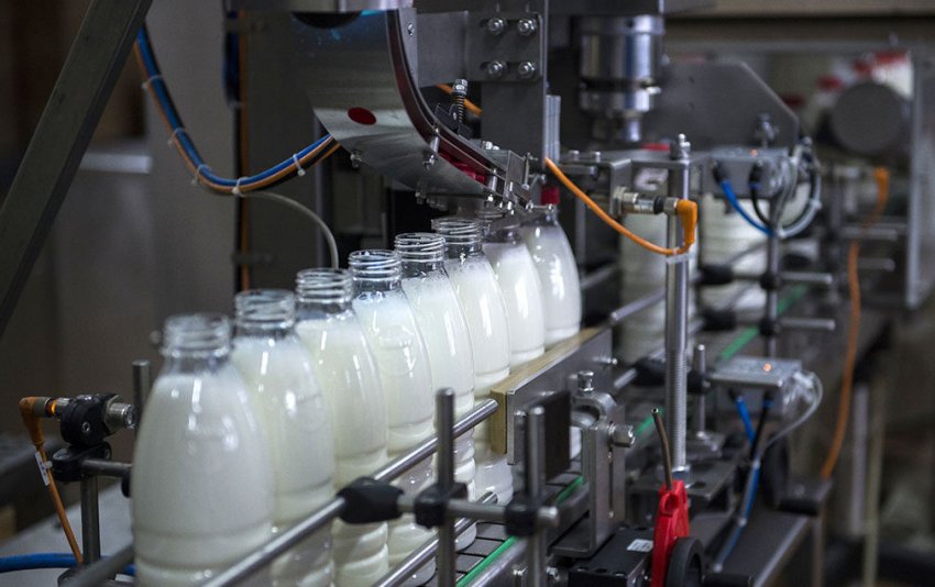 Виробництво молока в Україні