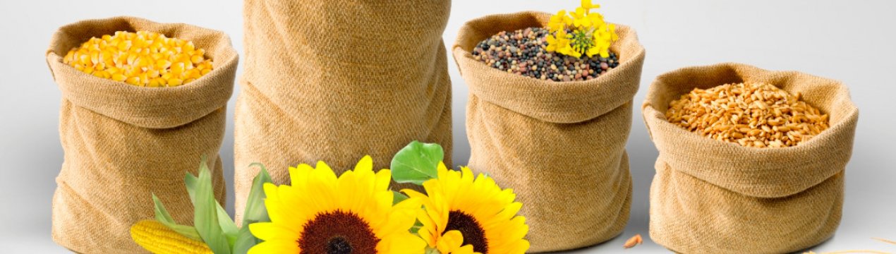 Іран зацікавлений у поставці української агропродукції