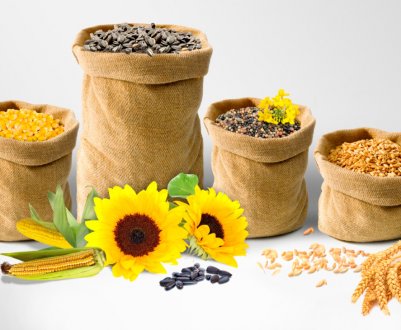 Іран зацікавлений у поставці української агропродукції