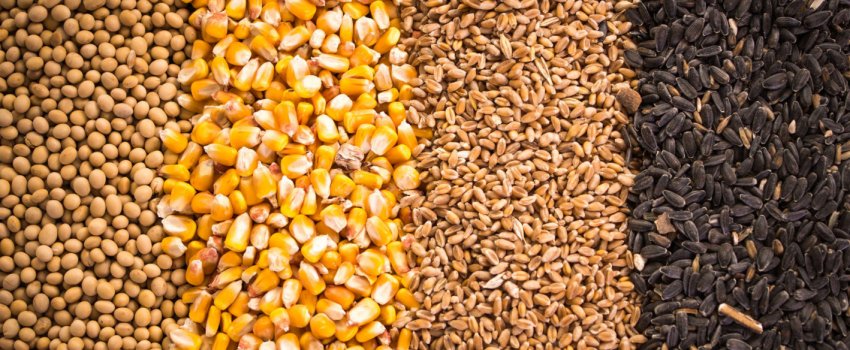 Агропродукція українського виробництва