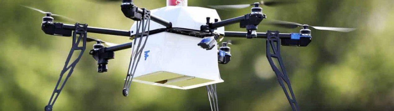 Учені створили дрон, здатний рахувати полуницю з повітря