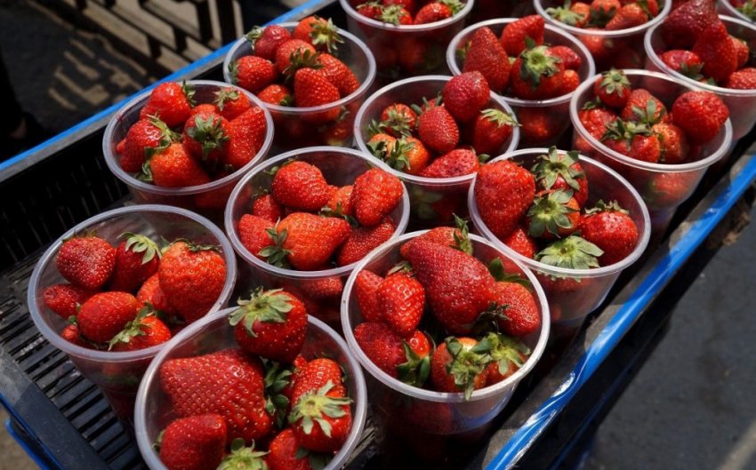 Ціни на полуницю